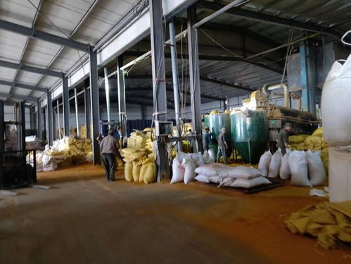 四川首富易主,從500元?jiǎng)?chuàng)業(yè)養(yǎng)魚(yú),到身價(jià)1250億,他是如何做到的