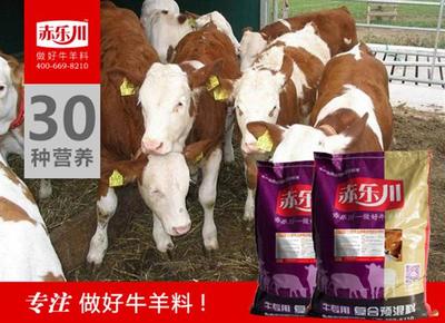 甘肅犢牛增肥飼料N350_百川網