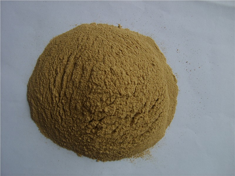 山東鵬飛生物科技 - 復合氨基酸酵母飼料 - 產品信息