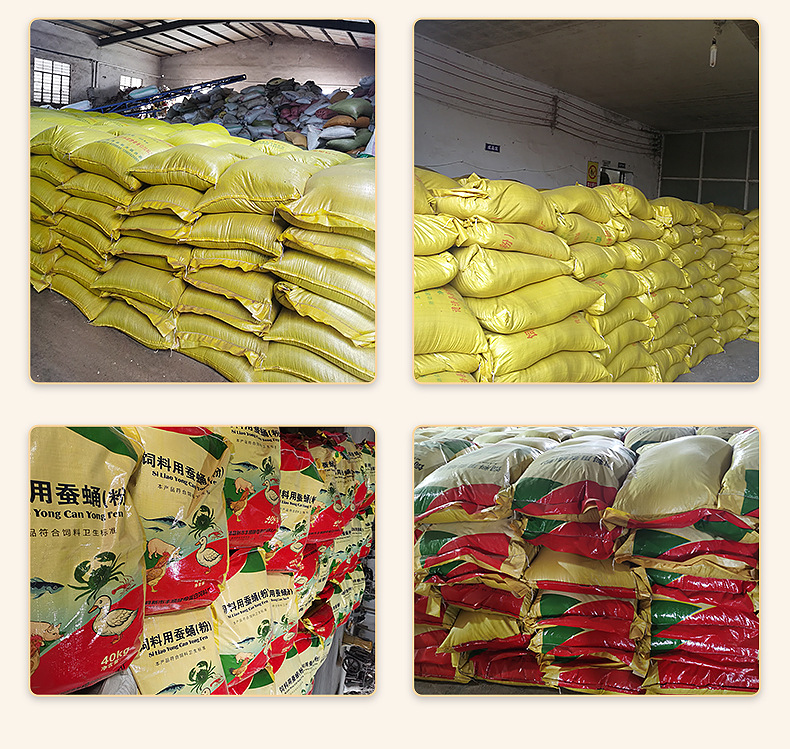 羅非魚飼料干蠶蛹 水產(chǎn)養(yǎng)殖飼料蠶蛹粉 釣魚打窩動物飼料蠶蛹