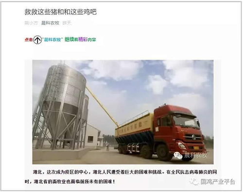 飼料告急！湖北龍頭養(yǎng)雞企業(yè)僅剩3天庫存，畜牧業(yè)協(xié)會(huì)緊急呼吁救急