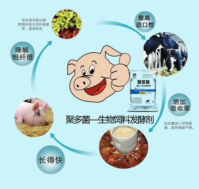 豆渣發(fā)酵飼料 現(xiàn)代養(yǎng)殖業(yè)的綠色引擎與成本利器
