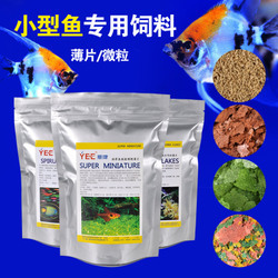 熱帶魚小型魚食飼料 新春備貨指南與品質店鋪推薦